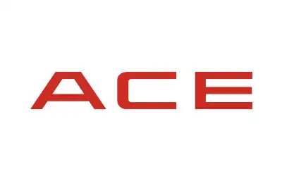 ACE箱包品牌设计