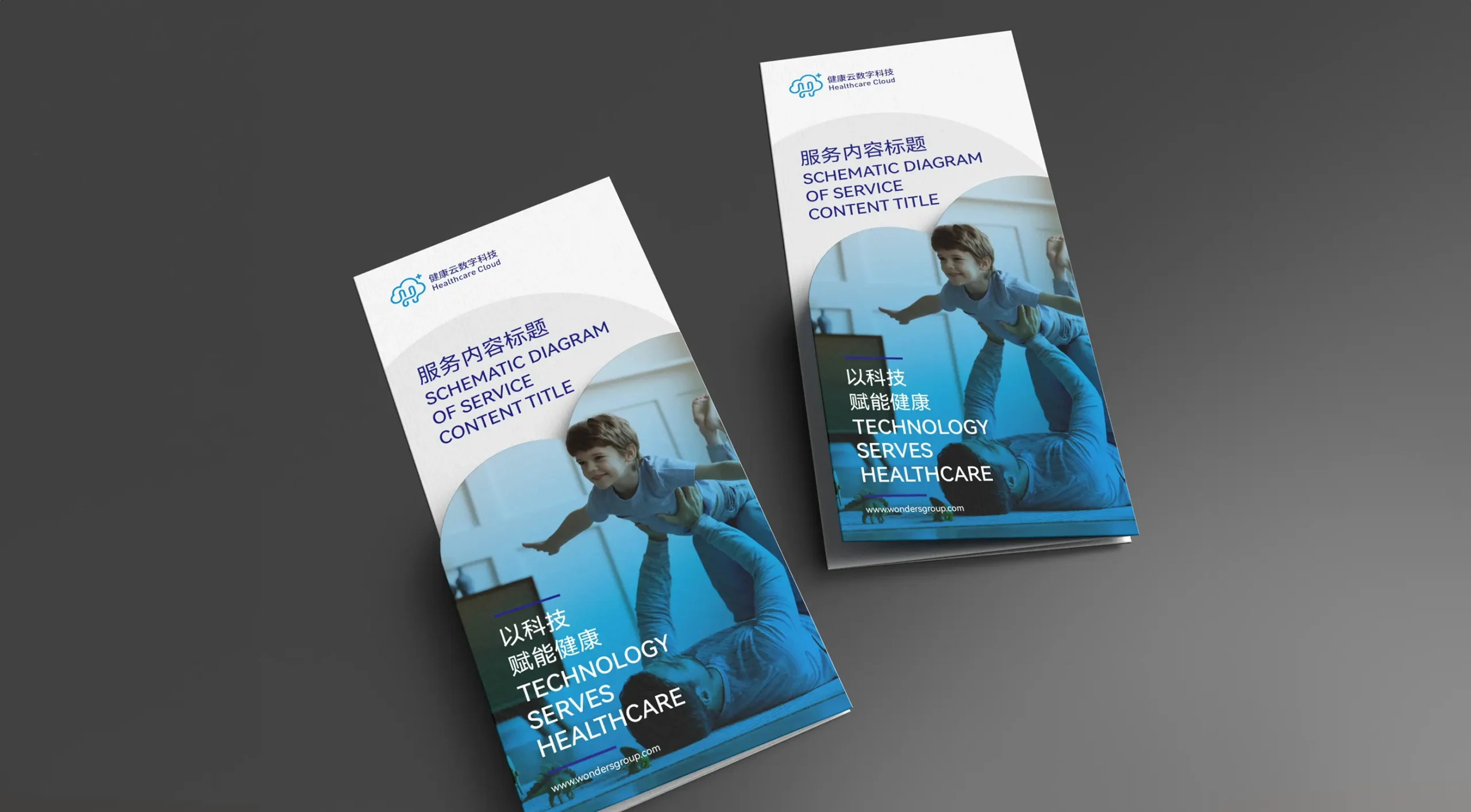 上海健康云品牌vi設計