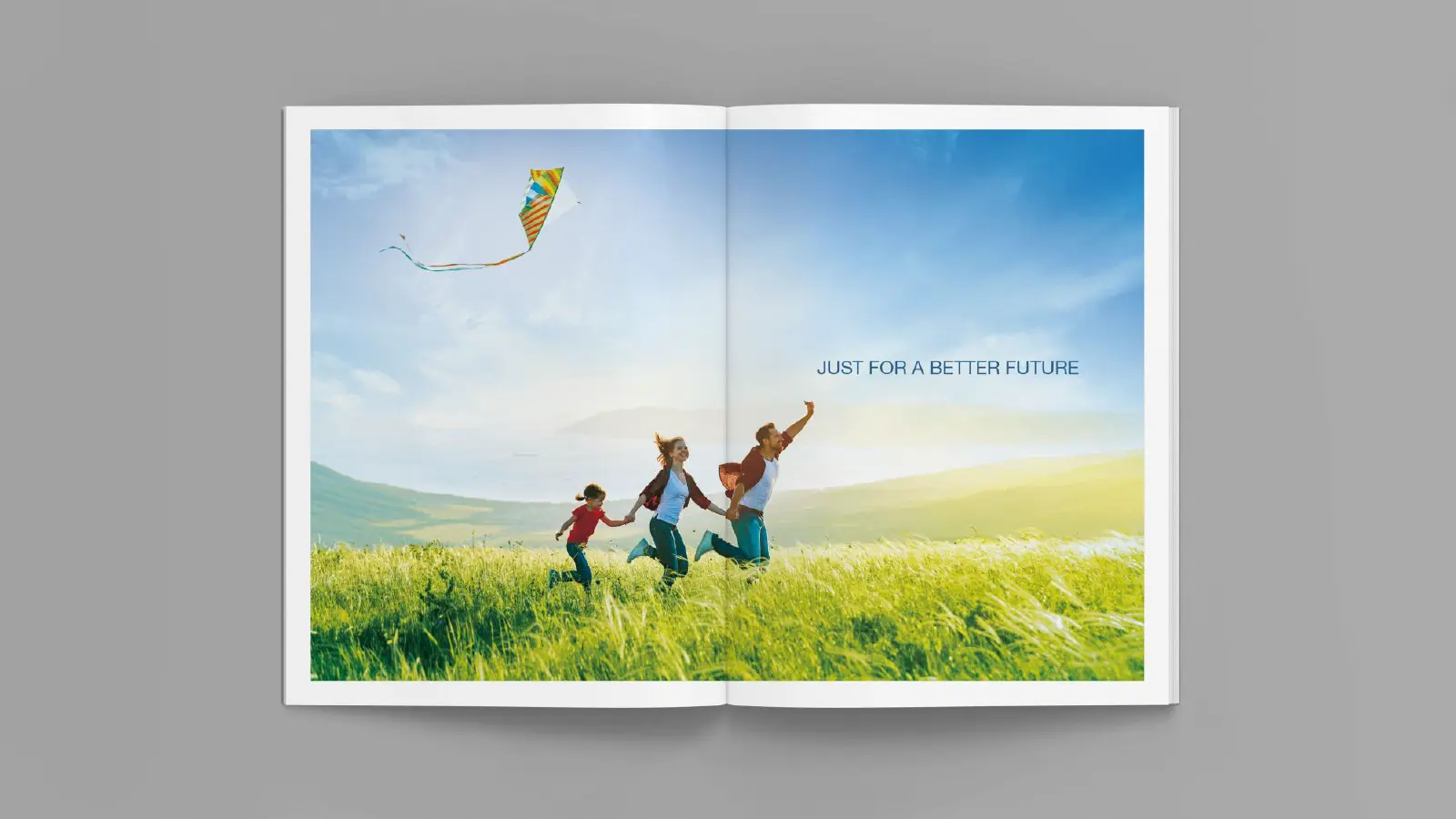 安宇化工品牌畫冊